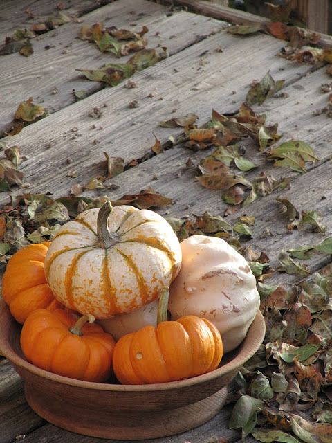 Fall Pumpkins