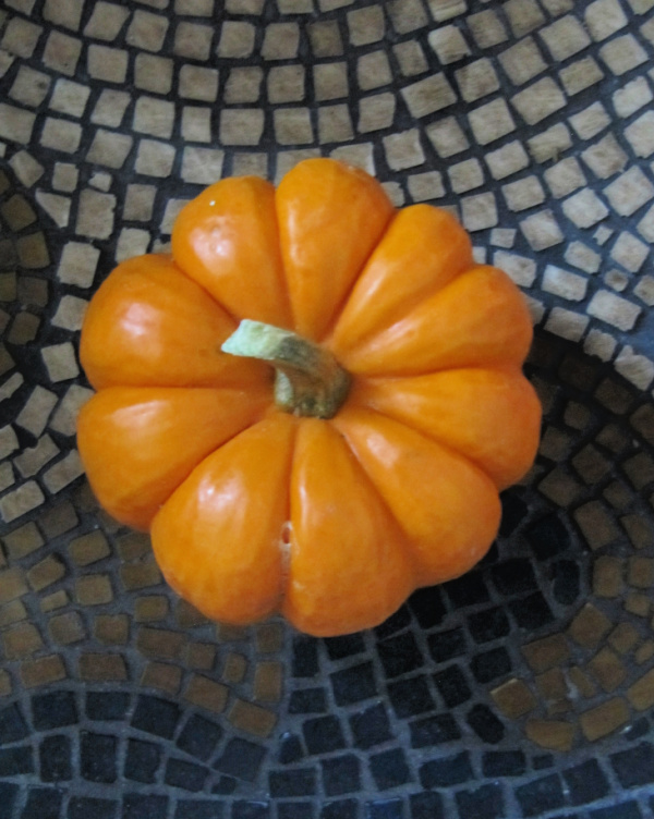 Friday Favorites from Well & Full, Half Baked Harvest, Sweet & Savory Meals and More
