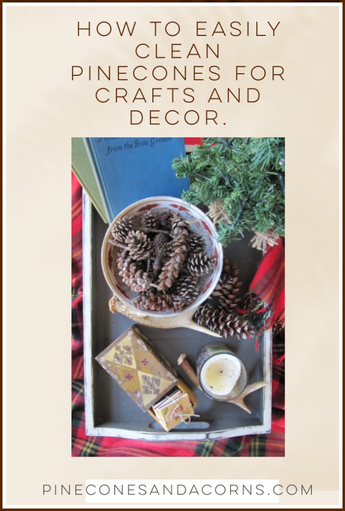 How to easily clean pinecones for crafts and decor Pinterest pin. 