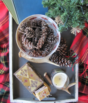 Pinecones-bowl-plaid-christmas-tree.png