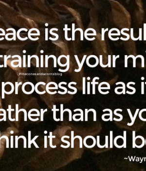 SS-quote-Wayne-Dyer-11-8-2020.png