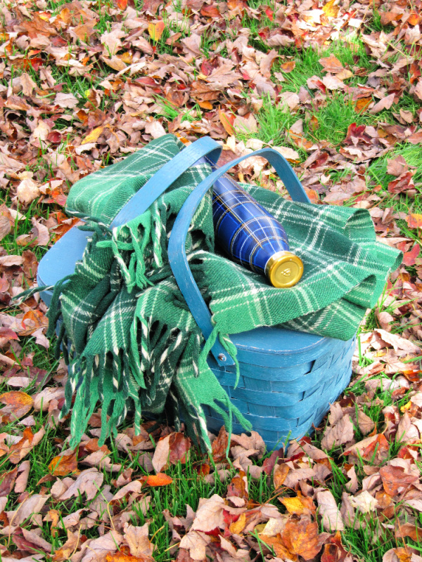 Green tartan blanket