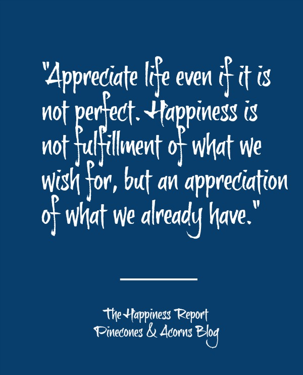 The Happiness Report No. 19