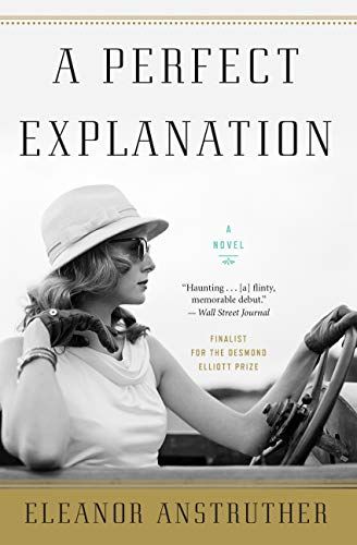Cover of the Book A Perfect Explanation