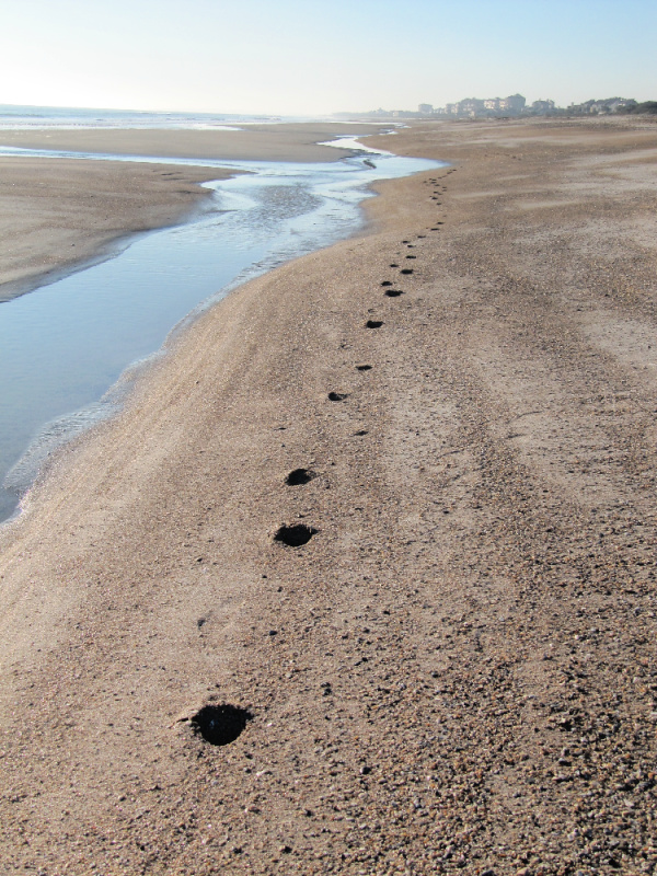 Footprints in the sand