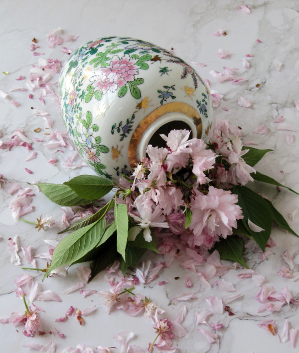 cherry blossoms in a vintage chinoiserie vase