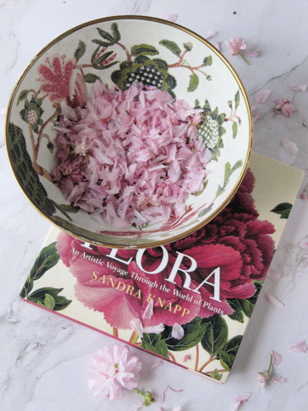 Friday Favorites