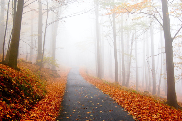 13 Fall Activities to Enjoy