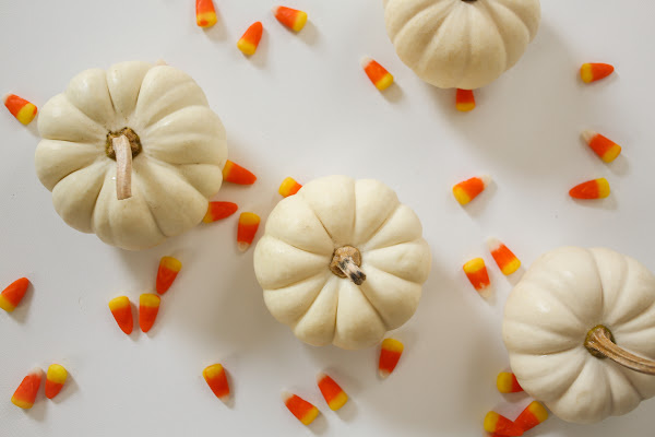 white baby pumpkins and scattered candy corn candy