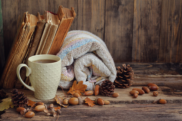 7 Easy Ways to Make Your House Cozy For Fall and Winter