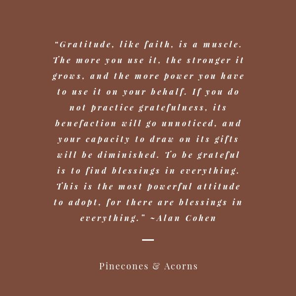 Gratitude-Alan Cohen quote