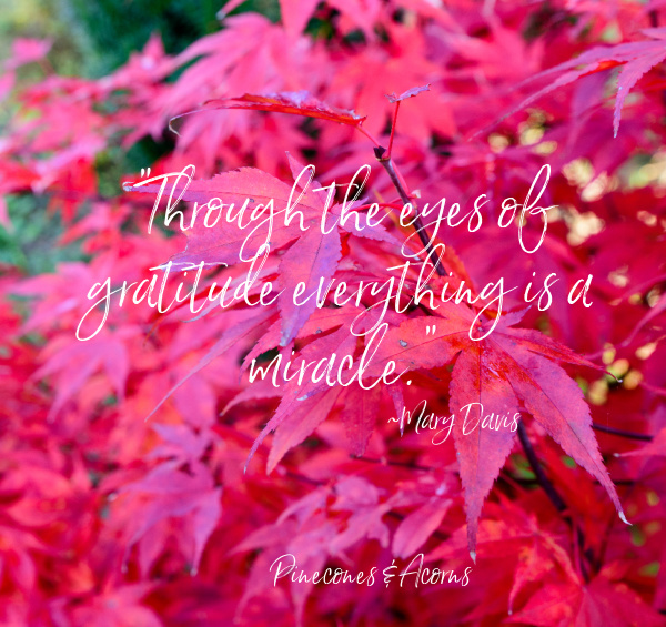 Through the eyes of gratitude everything is a miracle quote Mary Davis