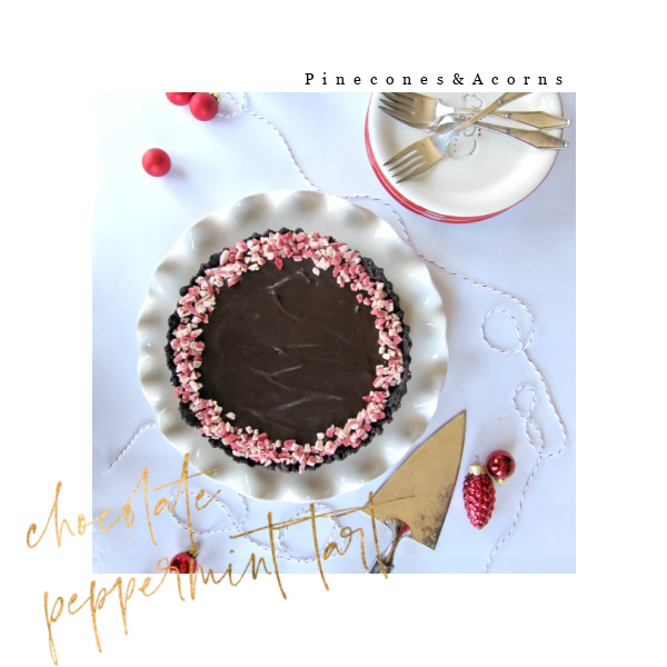 chocolate peppermint tart pin