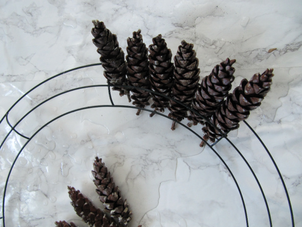 pinecones soaking in a metal pan