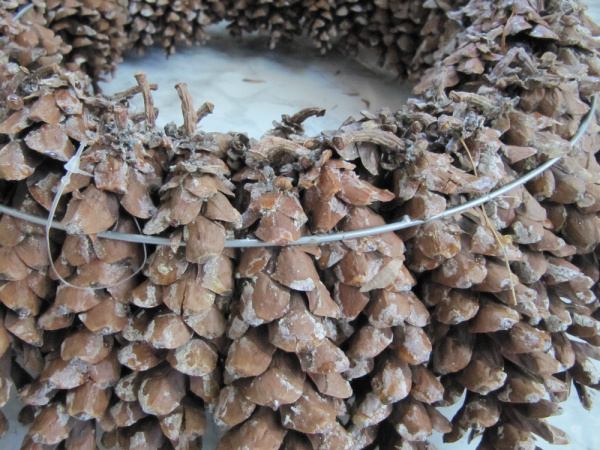 pinecones in wire wreath the backside