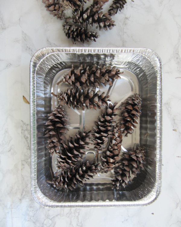 pinecones soaking in a metal pan