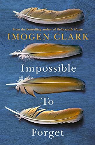 Book cover of Impossible to Forget, blue background with 4 brown feathers 