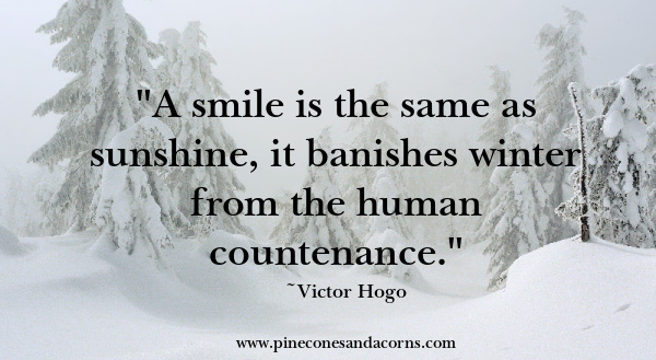 A smile is the same and sunshine it banishes winter from the human countenance victor Hugo quote.