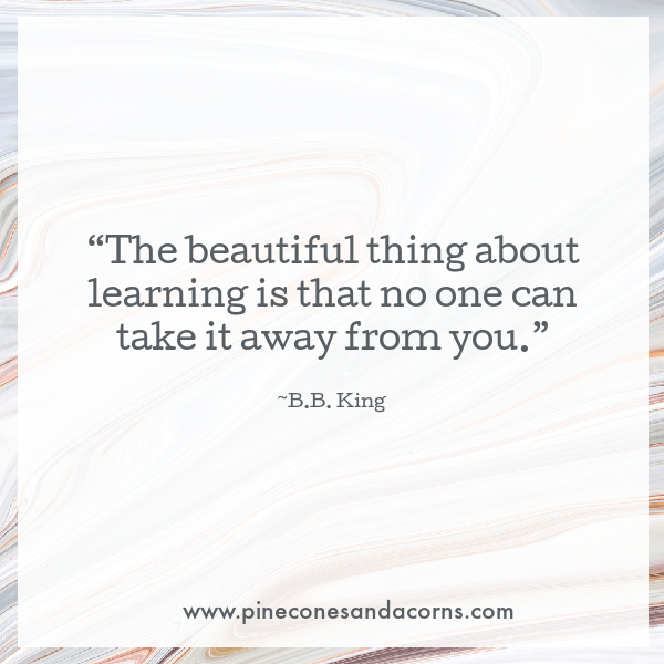 B.B.King Quote the beautiful thing about learning is that no one can take it away from you.