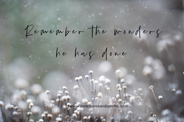 Remember the wonders he has done quote on a snow scene