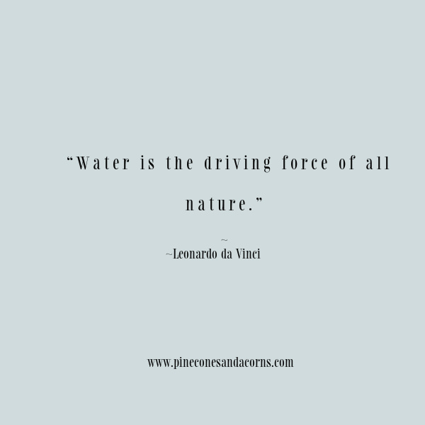 Water-is-the-driving-force-of-all-nature-quote