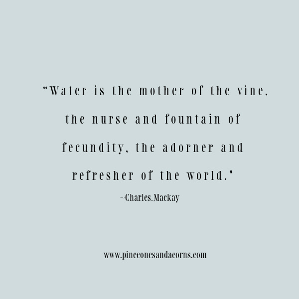 Water is the mother of the vine, the nurse and fountain of fecundity, the adorner and refresher of the world.