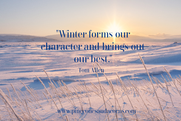 winter forms our character and brings out our best tom Allen quote