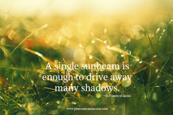 Silent Sunday A single sunbeam is enough to drive away many shades st.Francis of Assisi