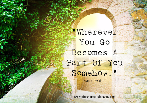 Anita Desai quote wherever you go becomes a part of you somehow