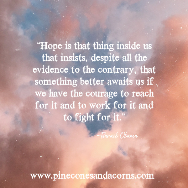 Barack Obama “Hope is that thing inside us that insists, despite all the evidence to the contrary, that something better awaits us