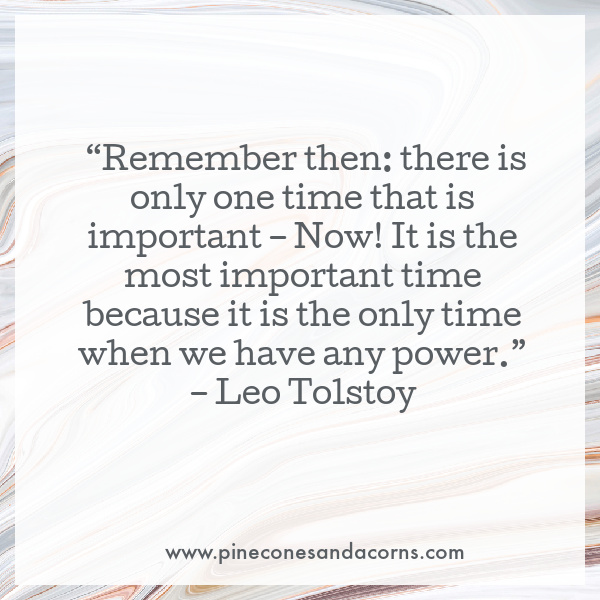 . “Remember then: there is only one time that is important – Now! It is the most important time because it is the only time when we have any power.” – Leo Tolstoy