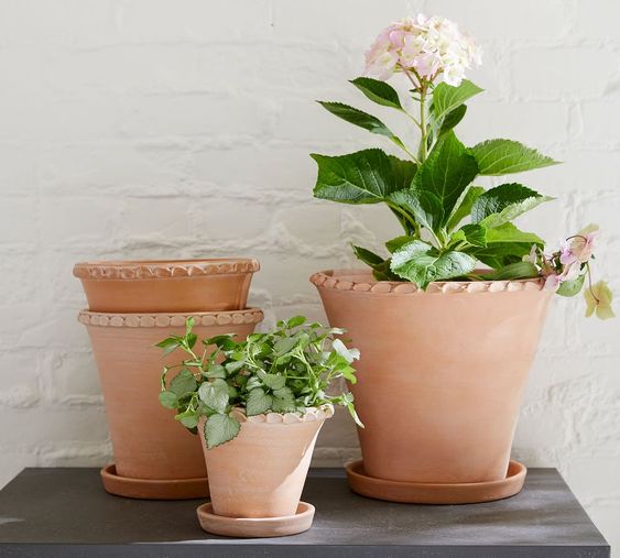 Friday favorites finds terra cotta planters
