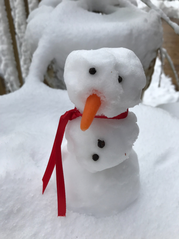 snowman with red ribbon scarf peppercorn eyes and carrot nose