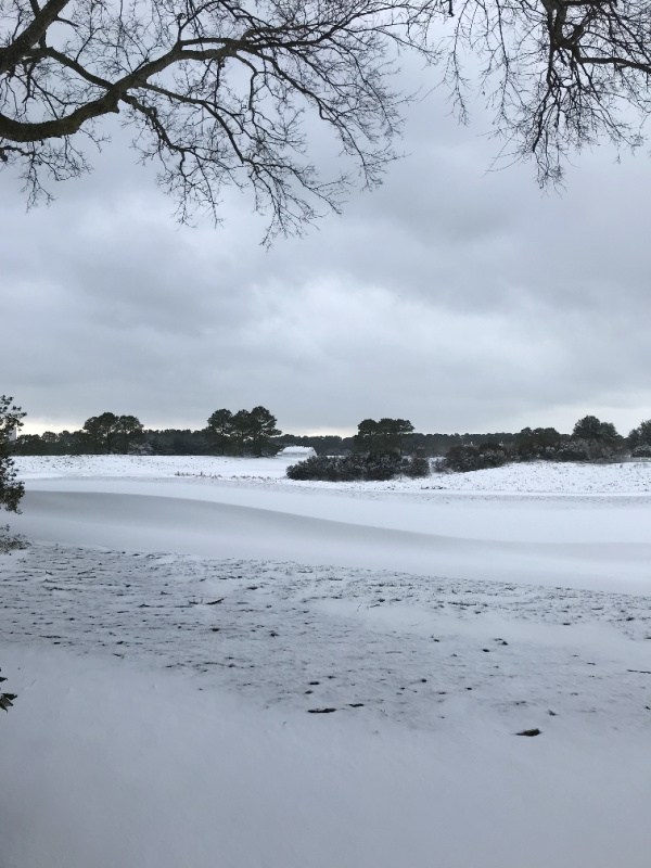 winter snowscape