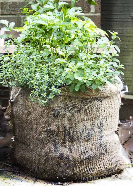 burlap sack filled with herbs