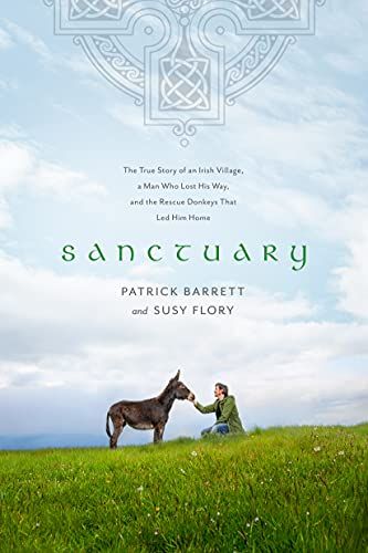 Sanctuary Book cover