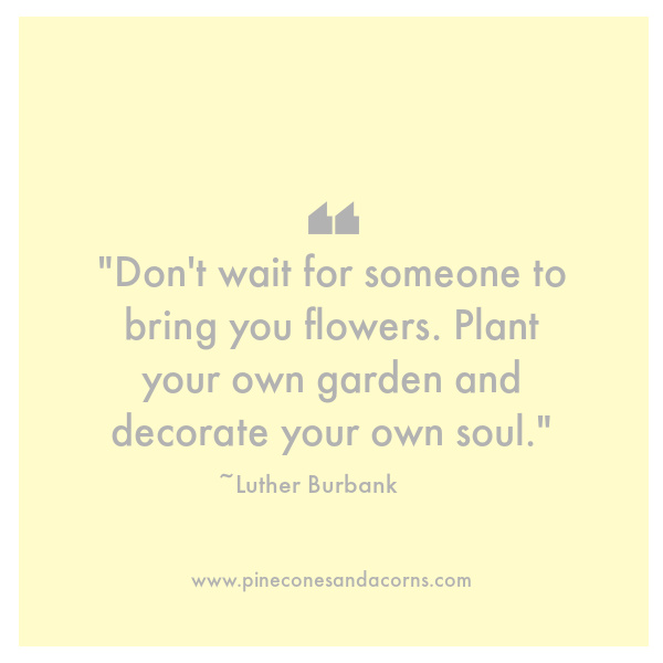 Luther Burbank "Don't wait for someone to bring you flowers. Plant your own garden and decorate your own soul."