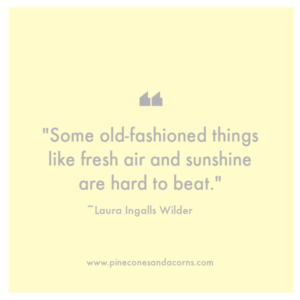 Laura Ingalls Wilder