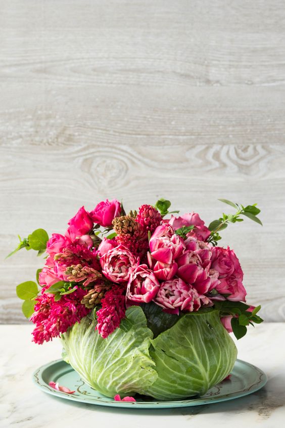 bright pink flowers in a cabbage