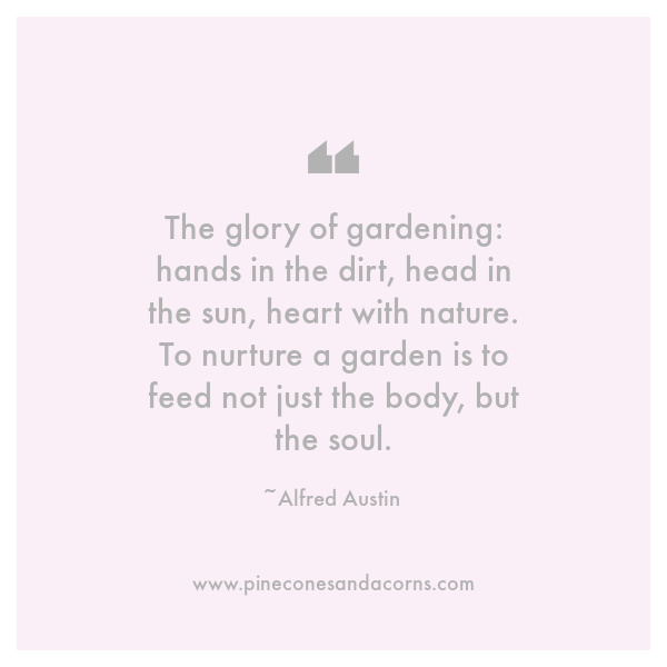 Alfred Austin The glory of gardening_ hands in the dirt, head in the sun, heart with nature. To nurture a garden is to feed not just the body, but the soul.