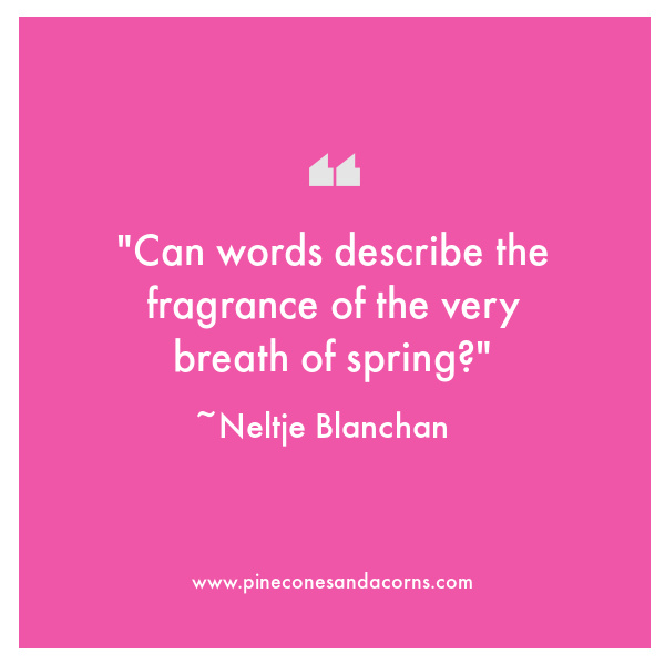weekend meanderingsCan words describe the fragrance of the very breath of spring? Neltje Blanchan