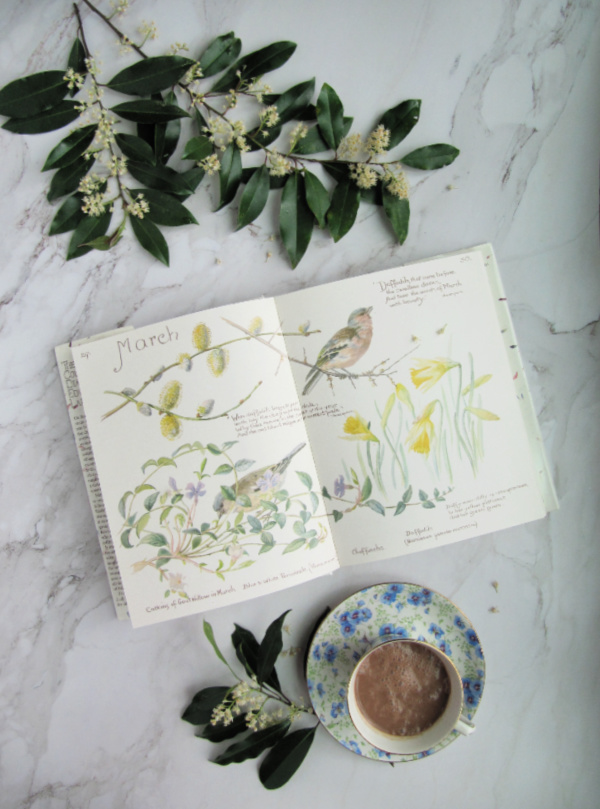 Friday Favorites from Inside the Rustic Kitchen, How Sweet Eats, Most Lovely Things and More
