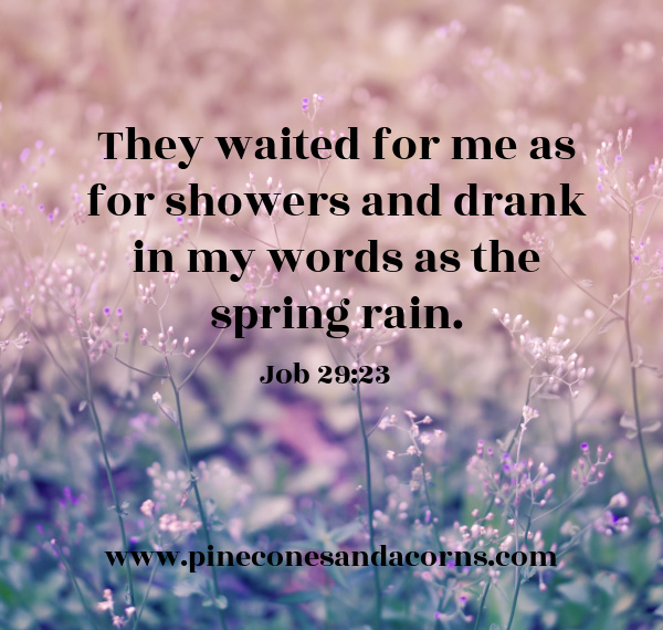 They waited for me as for showers and drank in my words as the spring rain.