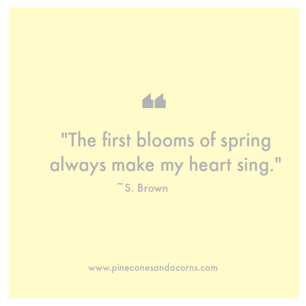 S. Brown The first blooms of spring always make my heart sing.