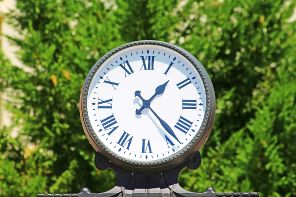 clock surrounded by green hedges