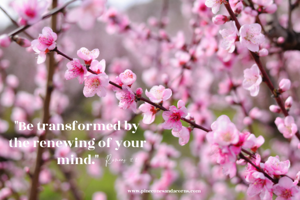 romans 12:2