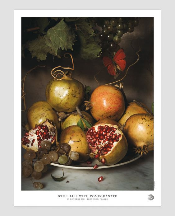 bowl of yellow pomegranates art by Jamie beck