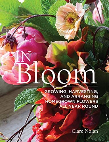Friday Favorites Books in Bloom