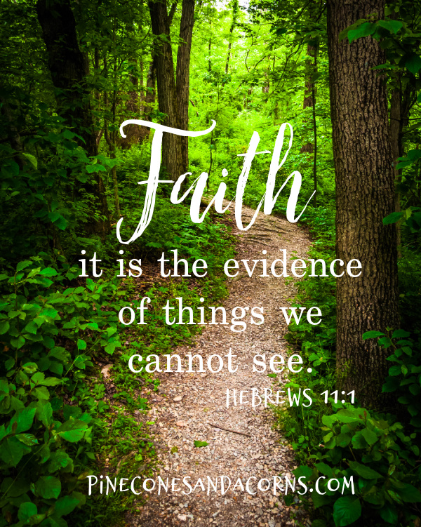 Silent Sunday Faith it is the evidence of things we cannot see Hebrews 11_1