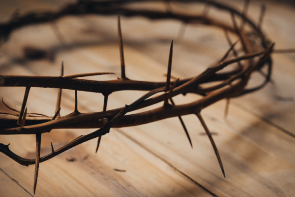 crown of thorns